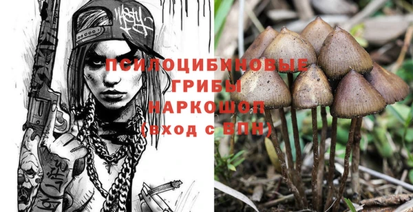 каннабис Беломорск