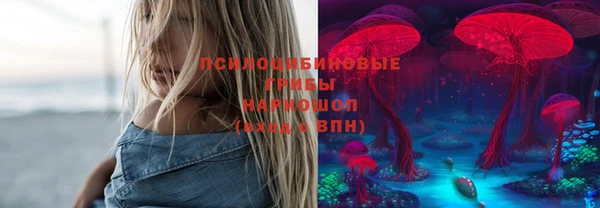 мдма Белокуриха