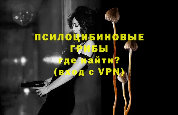 мдма Белокуриха